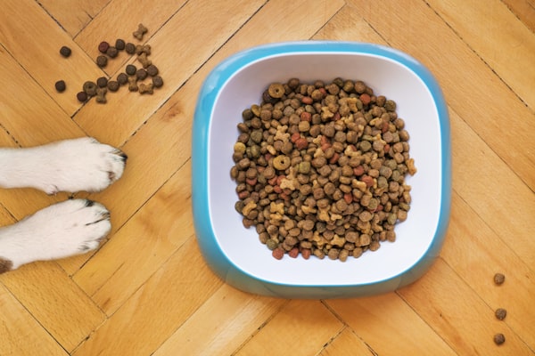 Organic Dog Food 5kg