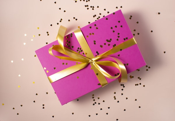 Pet Gift Set — Spoil Your Pet